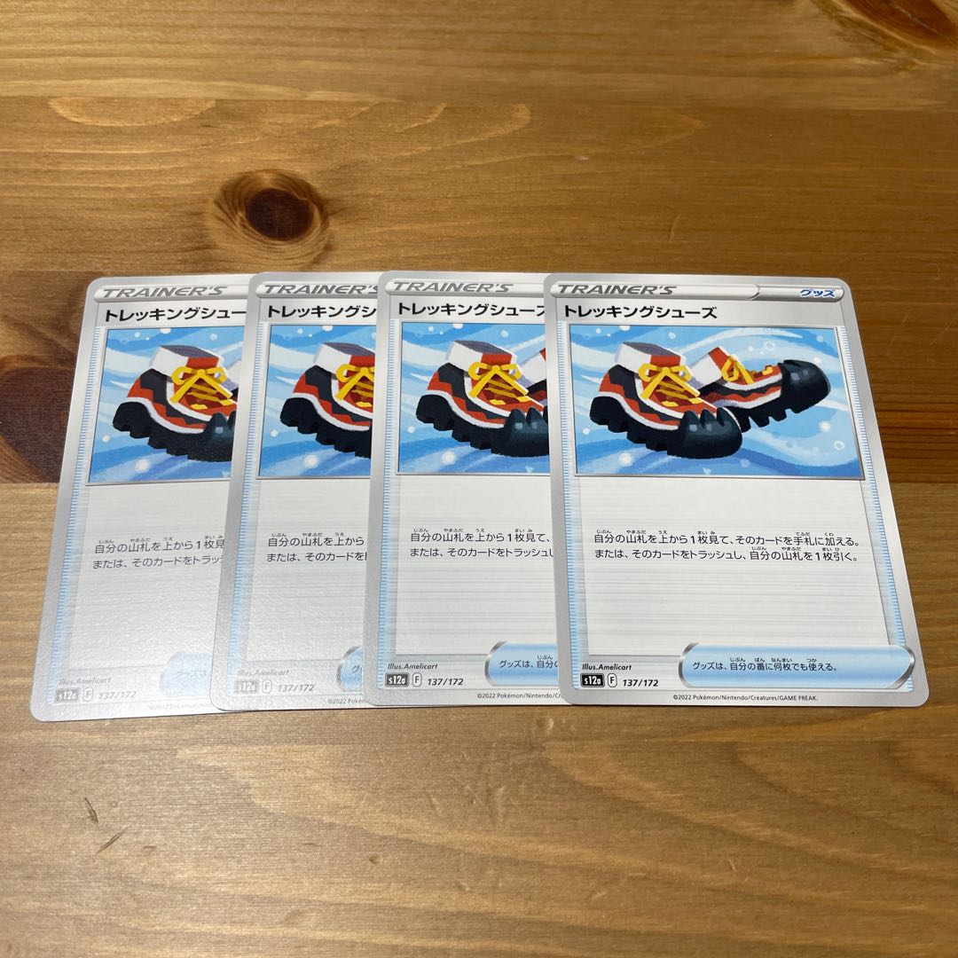 Trekking shoes 137/172