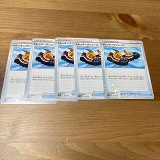 Trekking shoes 137/172