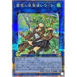 [State A-] Wynn the Wind Charmer, Verdant [Quarter Century Secret] {QCCU-JP188}