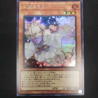 Ash Blossom & Joyous Spring Secret Rare QCDB-JP021