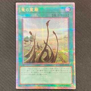 Dragon Shrine QCSE, 25th Sikh QCCP-JP194 Management 01