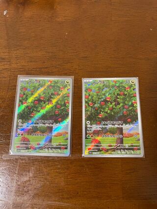 カジッチュ AR ２枚