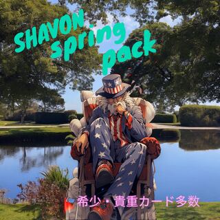 Rare Pokéka] SHAVON Spring Pack Part.2