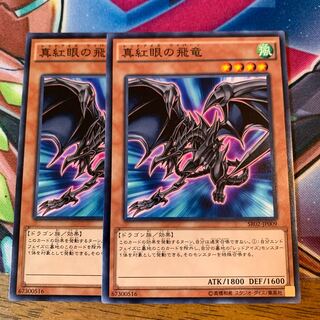 真紅眼の飛竜 N×2