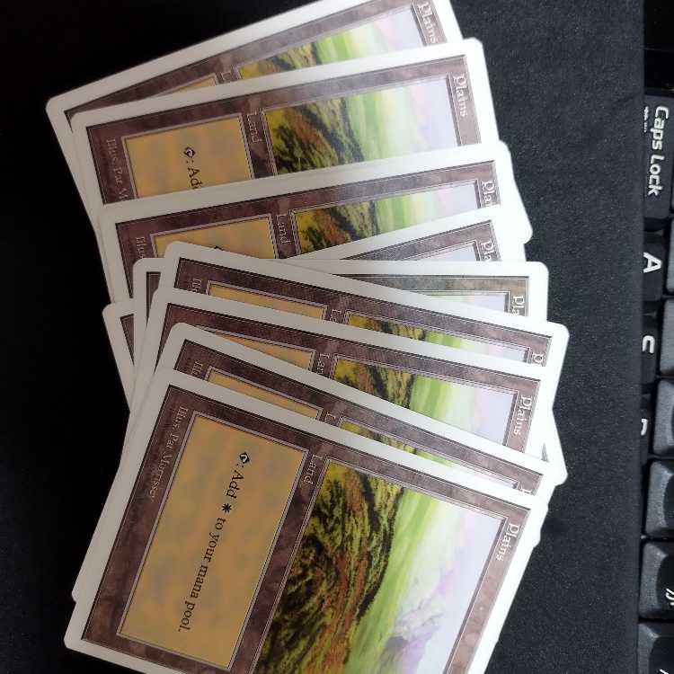 白基本土地10枚