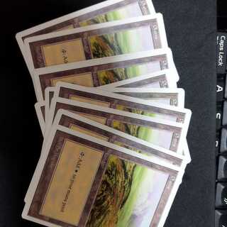 10 white basic lands