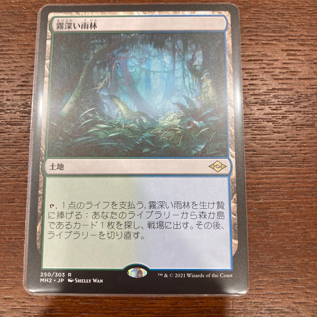Misty Rainforest Rare 250/303