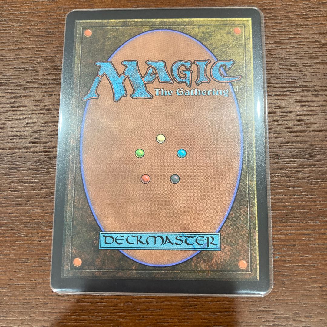 Misty Rainforest Rare 250/303