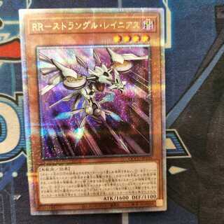 RR-ストラングル・レイニアス QCSE QCCU-JP156　管理01