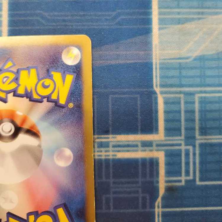 Professor Juniper SR 055/051 Management 01