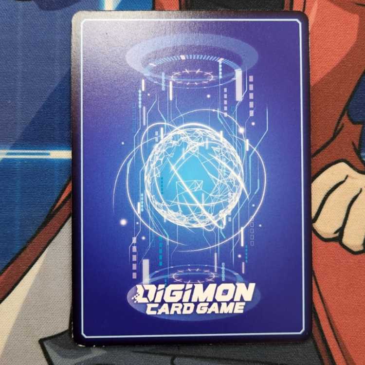 Patamon Parallel Management 01