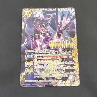 Hermit Knight Badger Dulles of Illusion WINNER BS58-X03 Management 01