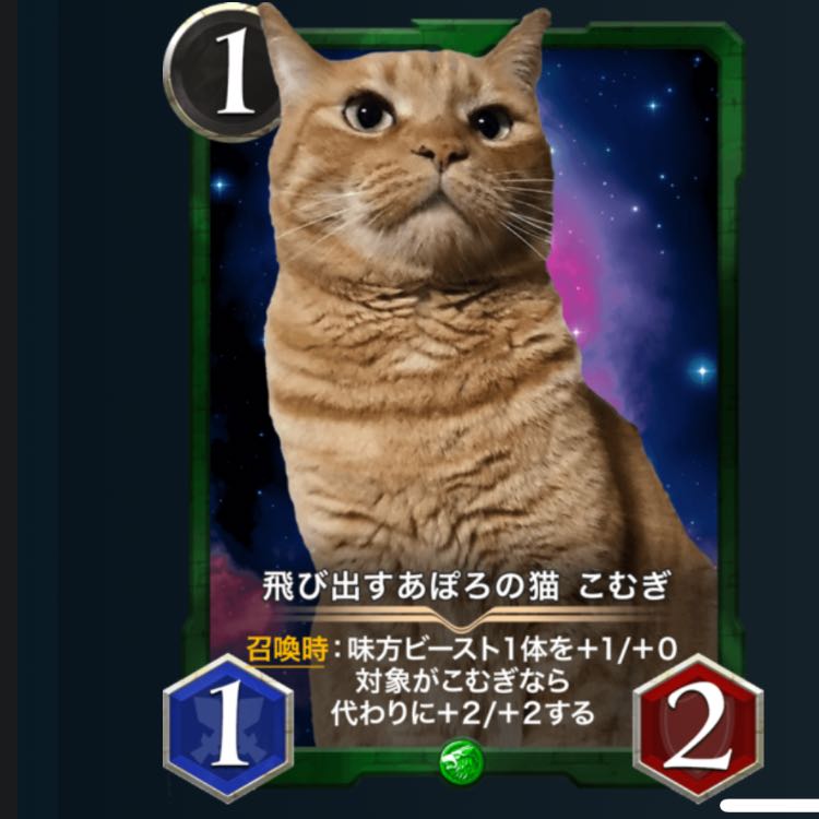 Komugi x 2 Cryptospells Ku Squirrel Pe