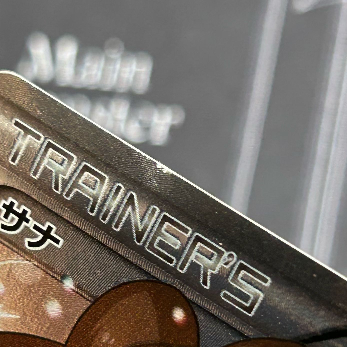 Pokemon Card Game Shauna SR [45-0409-06M6]. 1枚