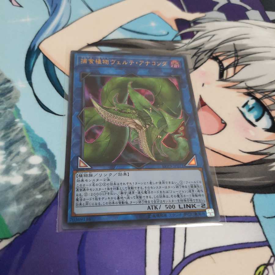 捕食植物ヴェルテ・アナコンダ