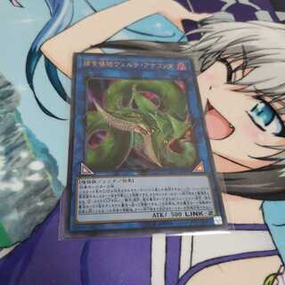 捕食植物ヴェルテ・アナコンダ