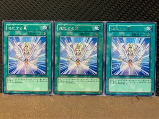 【ぽぽたん】遊戯王 8371 進化する翼 3枚 レア