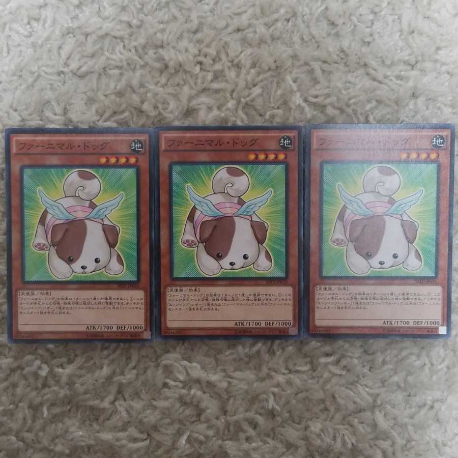 ファーニマル・ドッグ