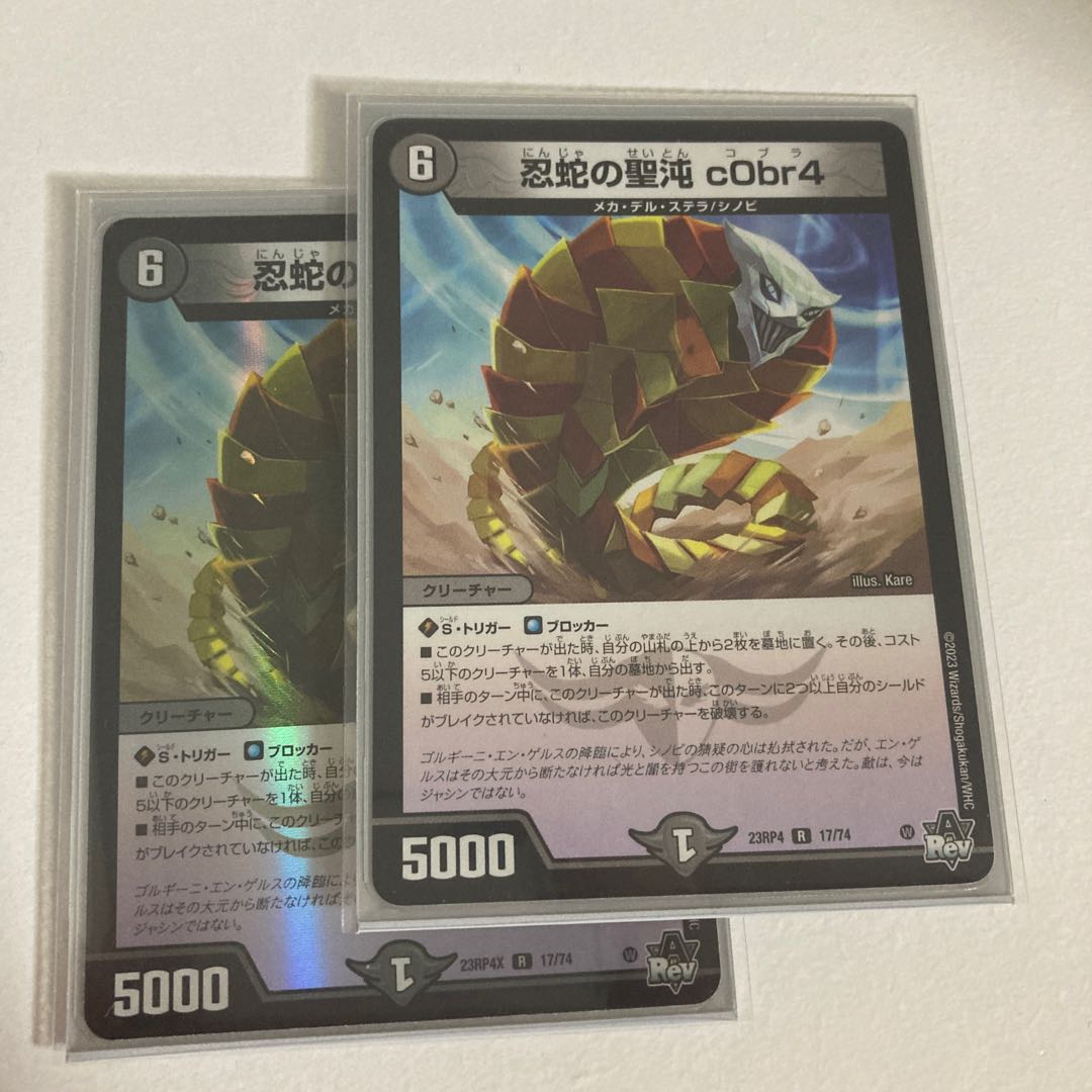 The Holy Chaos of the Ninja Serpent c0br4 R 17/74