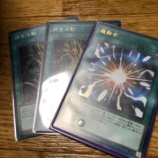 捕食活動 超融合