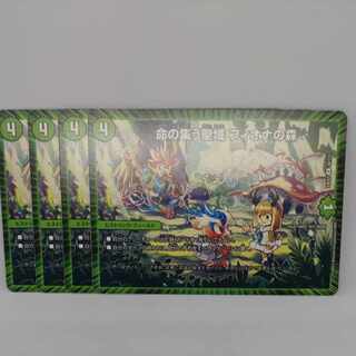 Sanctuary where life gathers Forest of Fiona R 56/112