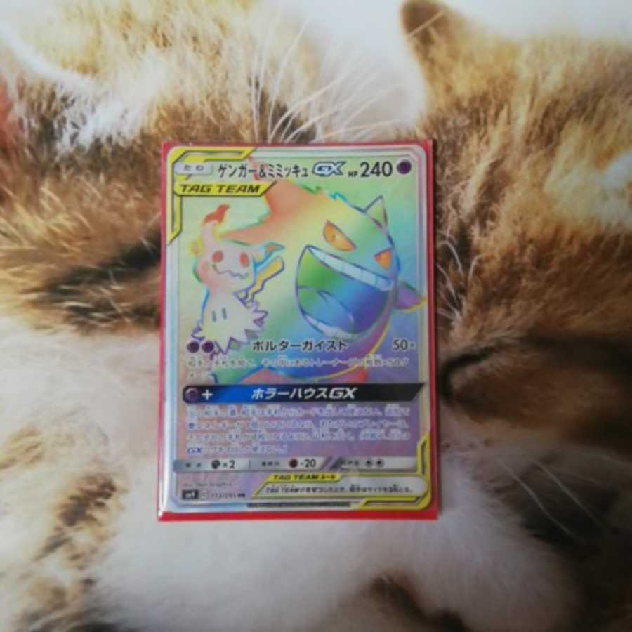 ゲンガー&ミミッキュＧＸＨＲ