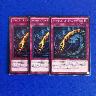 バージェストマ・カナディア ノーマル JP035