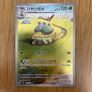 ハヤシガメ AR 072/071