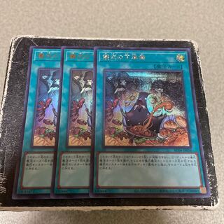 Pre-Preparation of Rites 2 UR, 1 SE