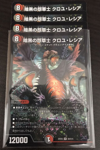 Darkness Grudge Grass Warrior Croyle Lecia SR S8/S15