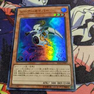 シーアーカイバー