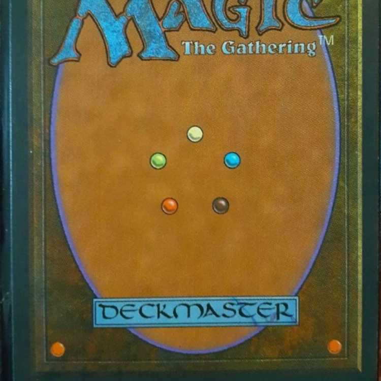 MTG Magic the Gathering Wheel of Fortune
