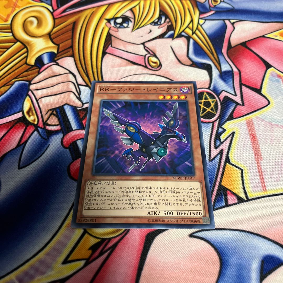 RR-Fuzzy Rainiers Normal JP017