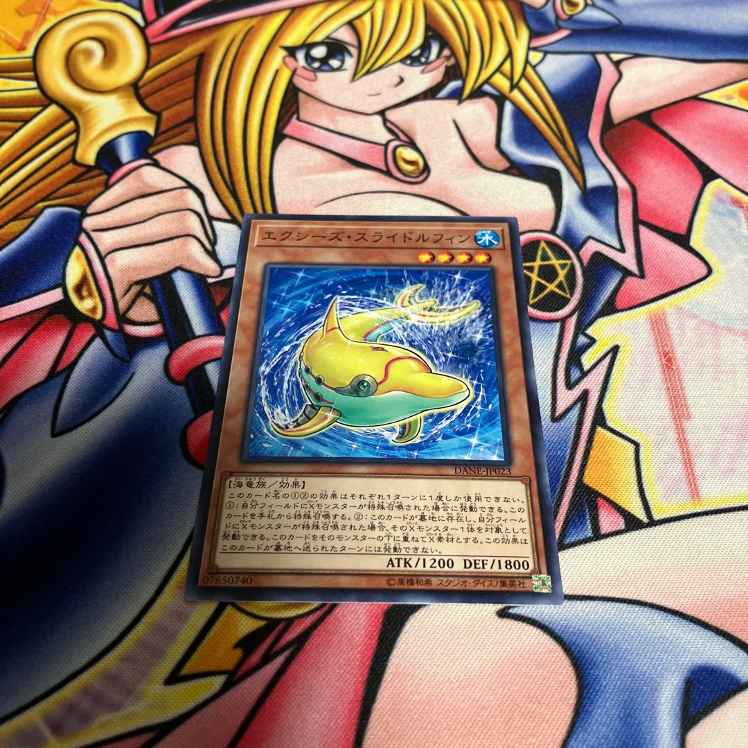 Xyz Slidolphin Normal JP023