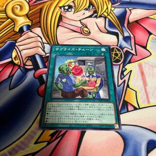 サプライズ・チェーン ノーマルレア JP068