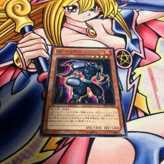 BK シャドー ノーマル JP088 1枚