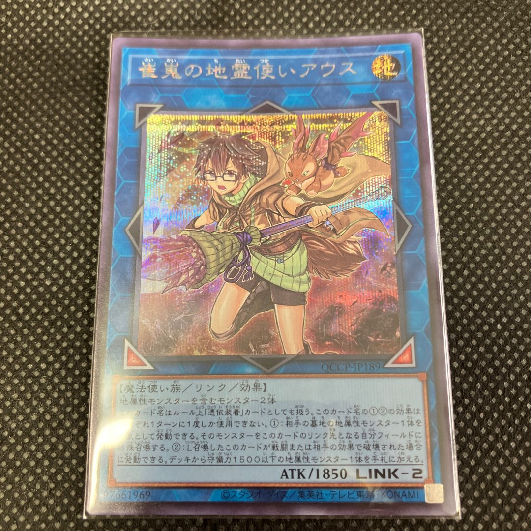 モノマニア様 専用 崔嵬の地霊使いアウス シークレット