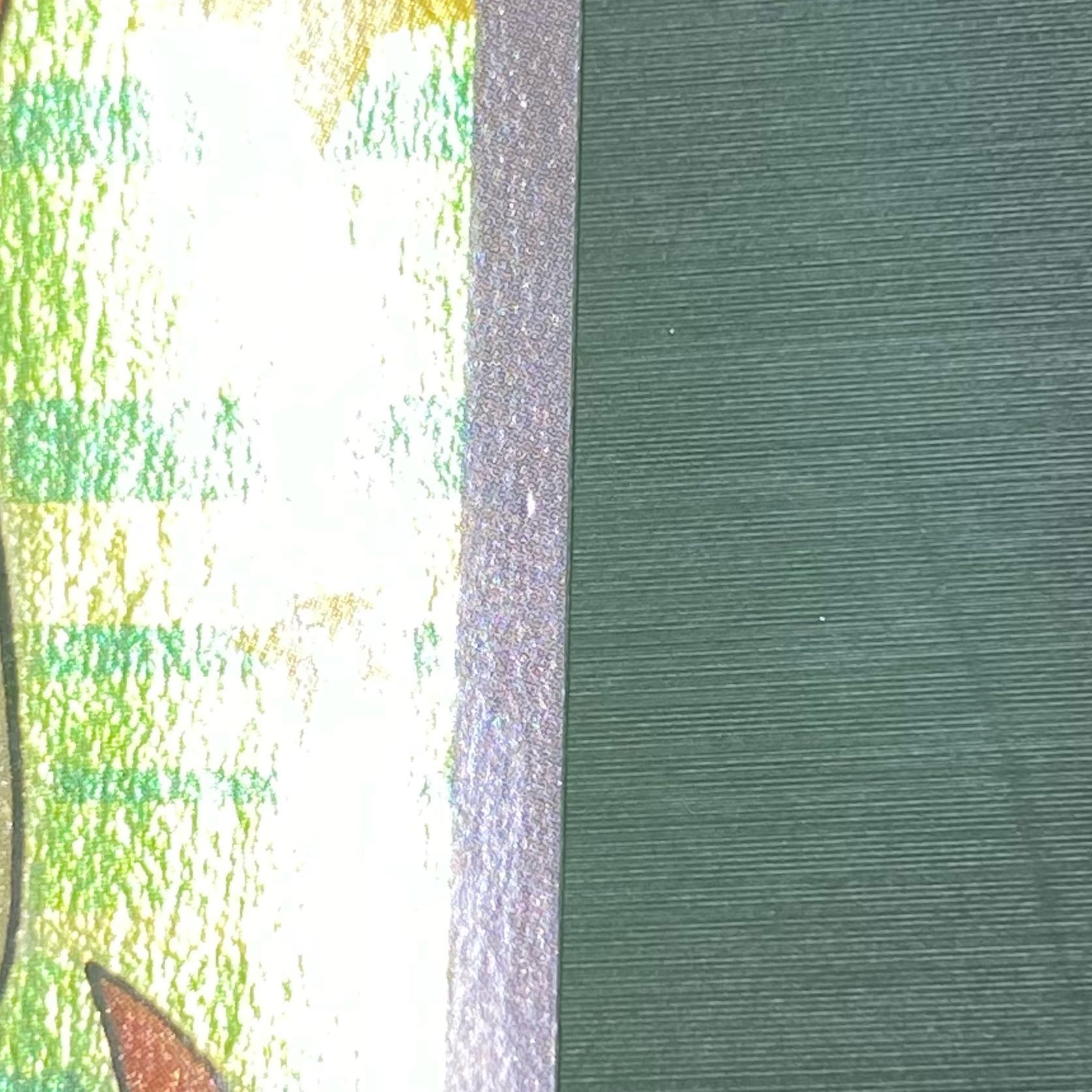 ポンチョを着たピカチュウ PROMO 208/XY-P