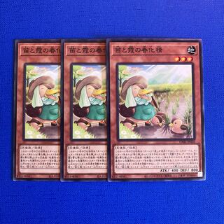 Seedlings and Kasumi no Shunka Seijin Normal JP026