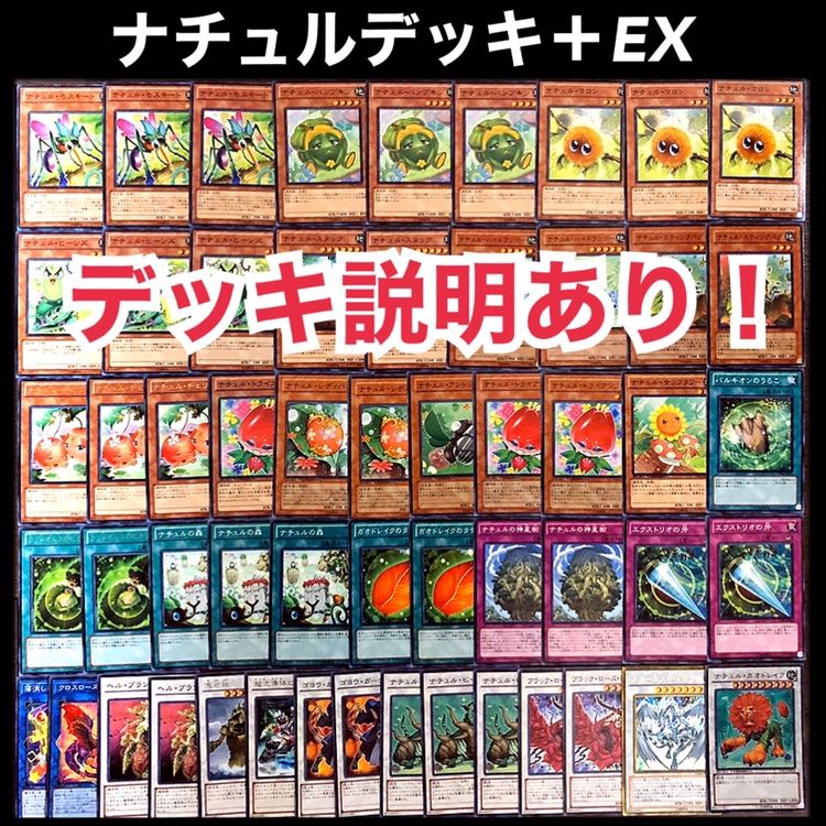 遊戯王　ナチュル　デッキ