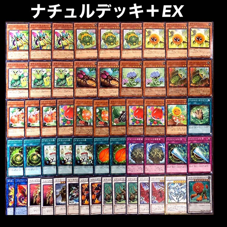 遊戯王　ナチュル　デッキ