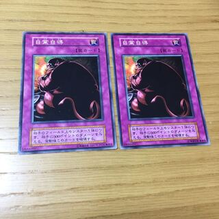 自業自得 N 2点セット