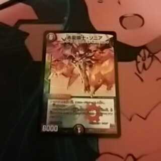 ソニア　しるど専用