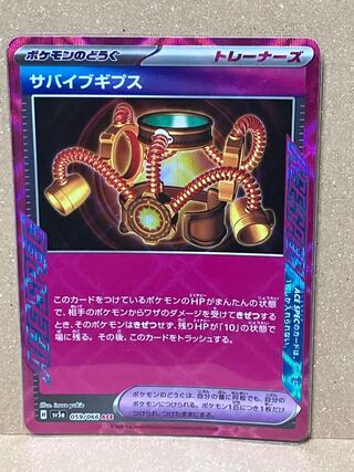 Survive Gips ACE 059/066