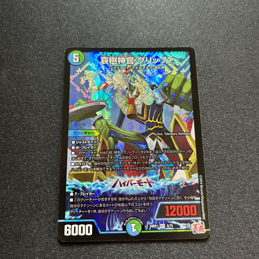 Aiju Priestess Griffa VR 9/75