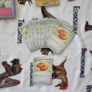 Nakayoshi Poffin U 063/071