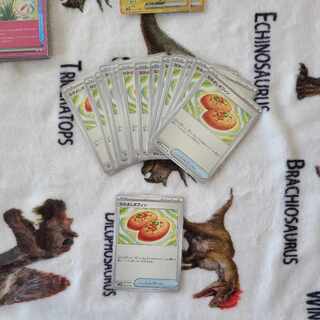 Nakayoshi Poffin U 063/071