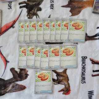 Nakayoshi Poffin U 063/071