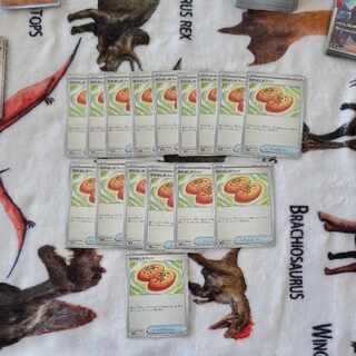 Nakayoshi Poffin U 063/071