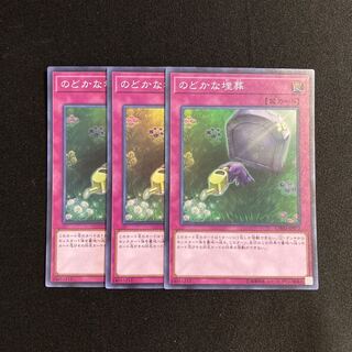 専用(2点)m273 のどかな埋葬 スーパーレア 3枚セット 遊戯王 トレトレ